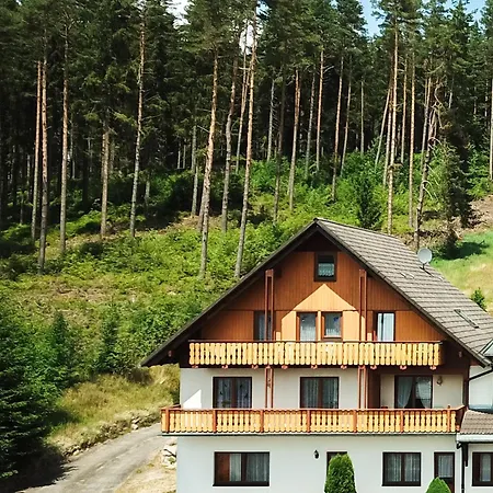 Black Forest Holidays - Auerhahn - Schwarz Wald Сasa de vacaciones