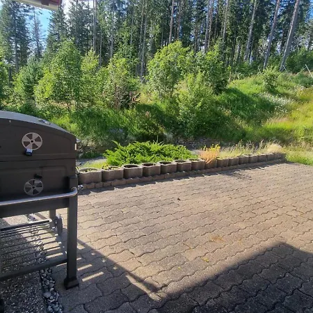 Black Forest Holidays - Auerhahn - Schwarz Wald Σπίτι διακοπών *