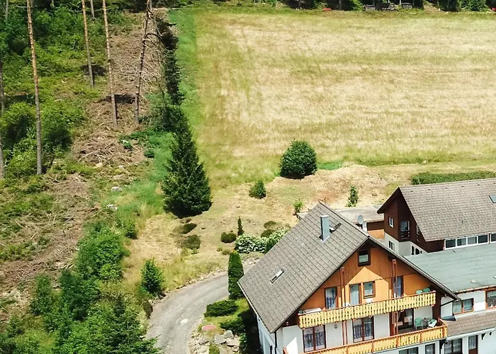 Black Forest Holidays - Auerhahn - Schwarz Wald