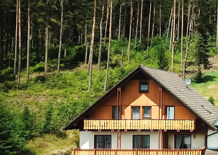 Black Forest Holidays - Auerhahn - Schwarz Wald Feriehus